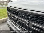 Thumbnail Photo 12 for 2017 Ford F150